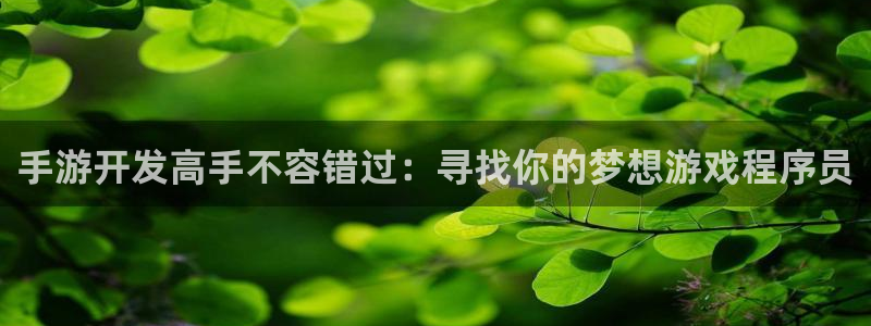 摩根娱乐挂机教程：手游开发高手不容错过：寻找你的梦想游戏程序