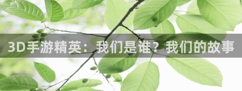 摩根娱乐是正规合法的吗是真的吗：3D手游精英：我们是谁？我们