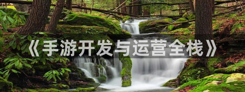 摩根娱乐官网入口网站在线观看