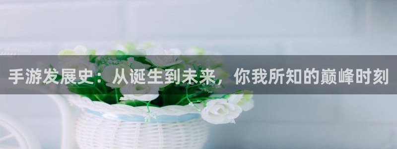 摩根娱乐官网入口网站：手游发展史：从诞生到未来，你我所知的巅