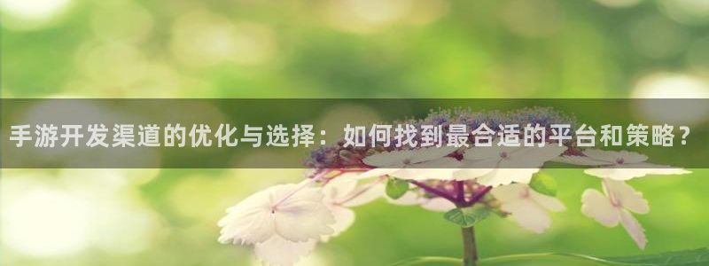 摩根娱乐官网入口网址大全：手游开发渠道的优化与选择：如何找到