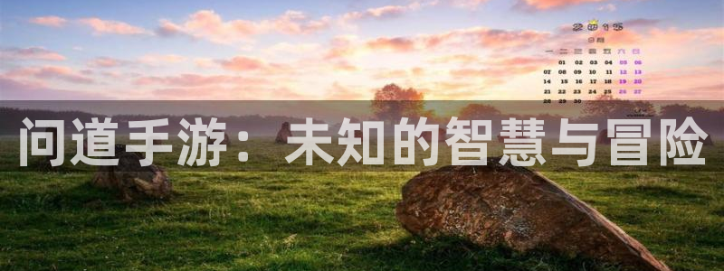 摩根娱乐这个平台怎么样啊赚钱吗：问道手游：未知的智慧与冒险