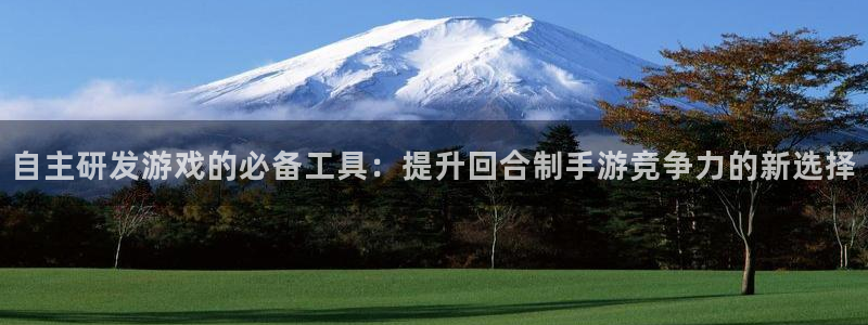 摩根娱乐这个平台怎么样知乎：自主研发游戏的必备工具：提升回合