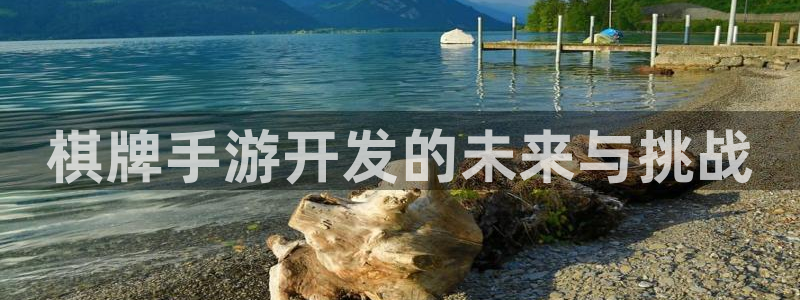 摩根娱乐是正规公司吗：棋牌手游开发的未来与挑战