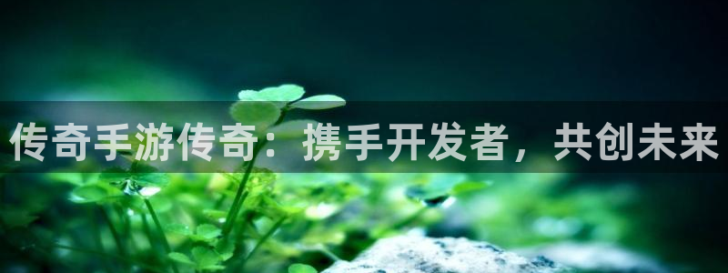 摩根娱乐云挂机是真的嘛安全吗：传奇手游传奇：携手开发者，共创