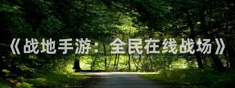 摩根娱乐官网入口网址是什么：《战地手游：全民在线战场》