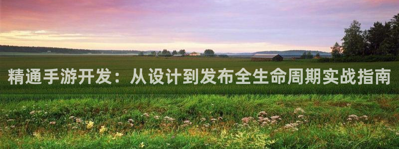 摩根娱乐云挂机：精通手游开发：从设计到发布全生命周期实战指南