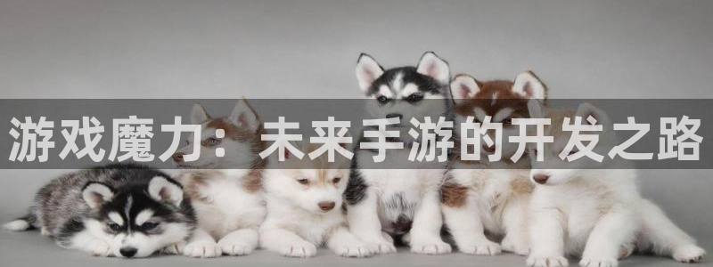 摩根娱乐登录：游戏魔力：未来手游的开发之路