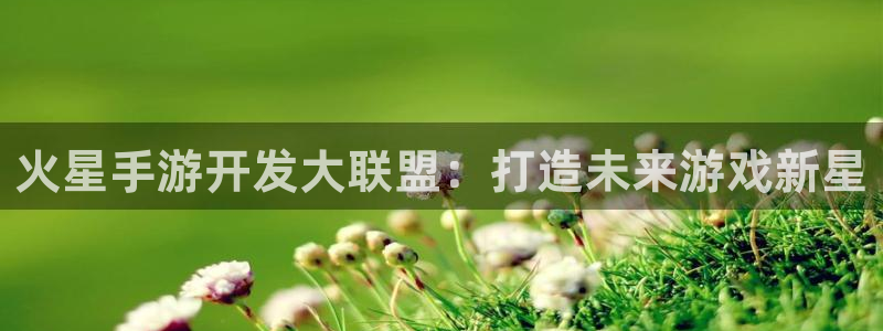 摩根娱乐这个平台怎么样呀：火星手游开发大联盟：打造未来游戏新